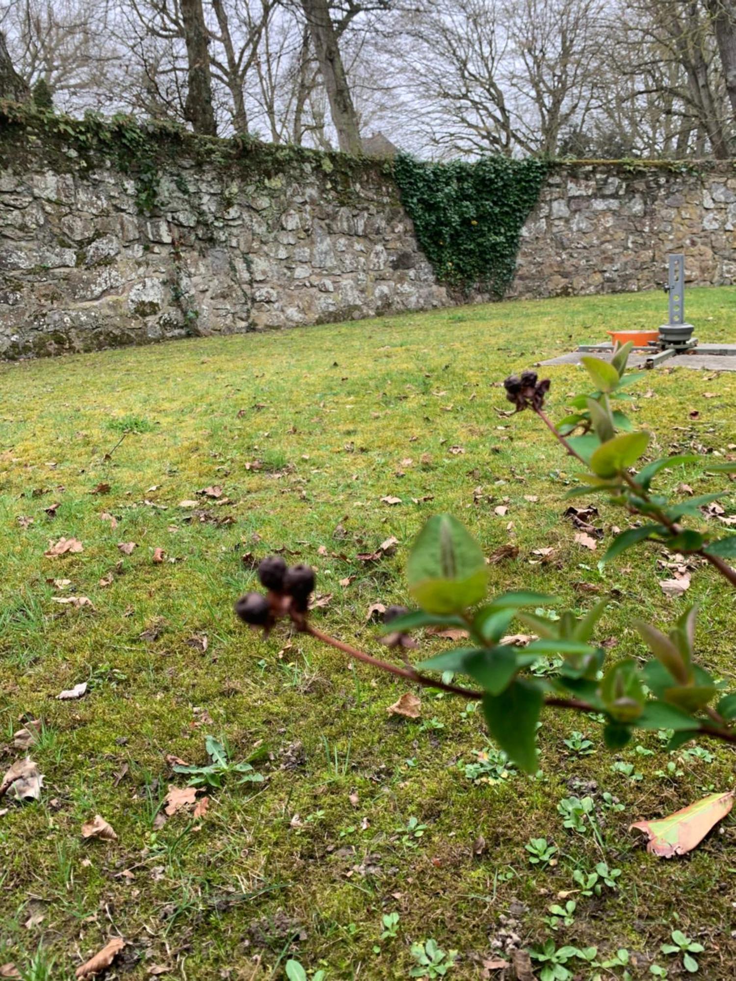 Appartement Avec Jardin A Proximite! *